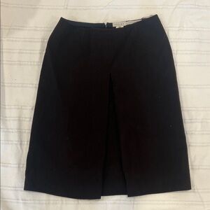 Celine Classic Pencil Skirt